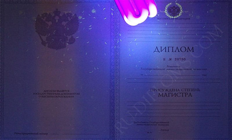 Диплом магистра 2010-2013 год 